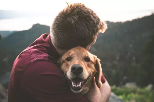 4 conseils santé pour vos animaux